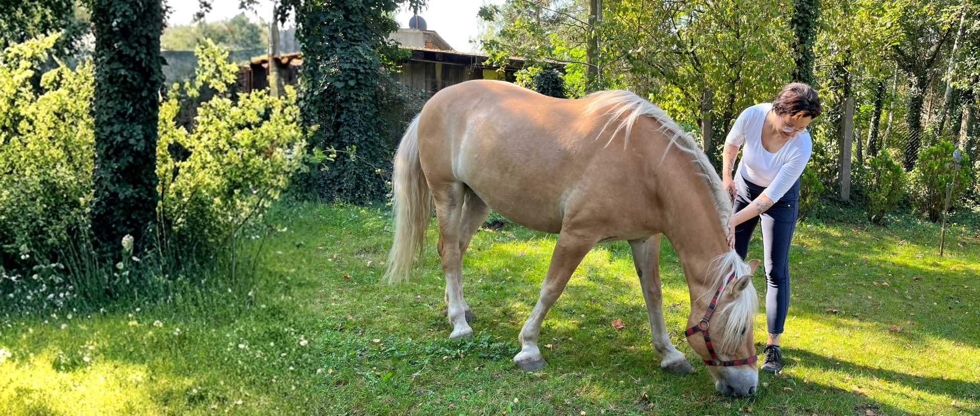 Blisko natury, blisko Ciebie
